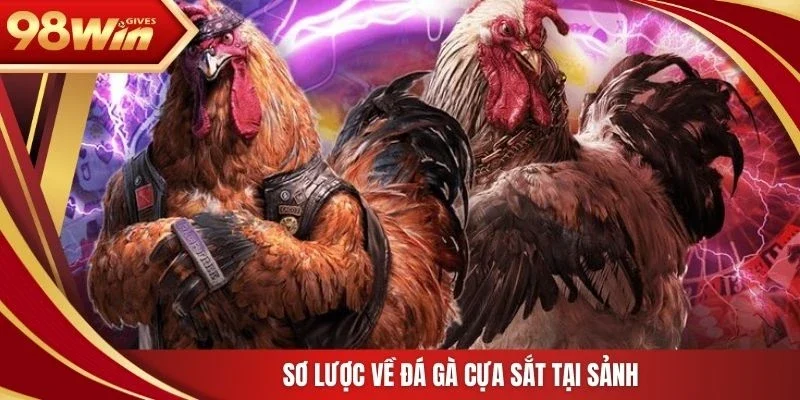 Sơ lược về đá gà cựa sắt tại sảnh