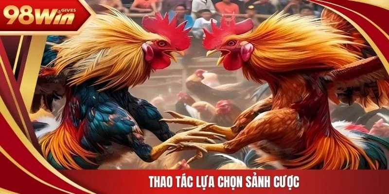 Thao tác lựa chọn sảnh cược