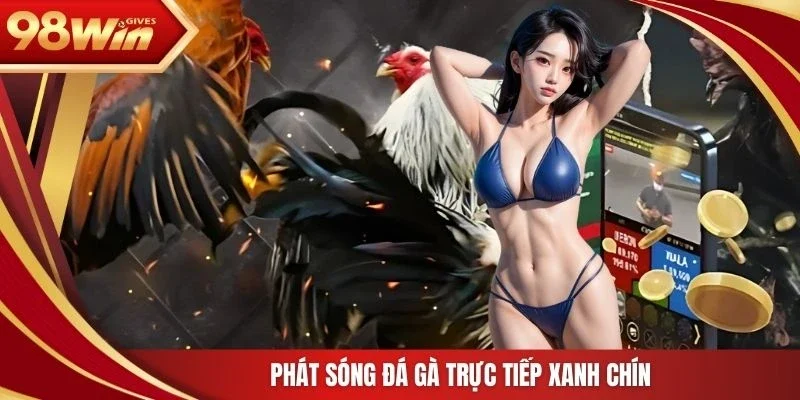 Phát sóng đá gà trực tiếp xanh chín